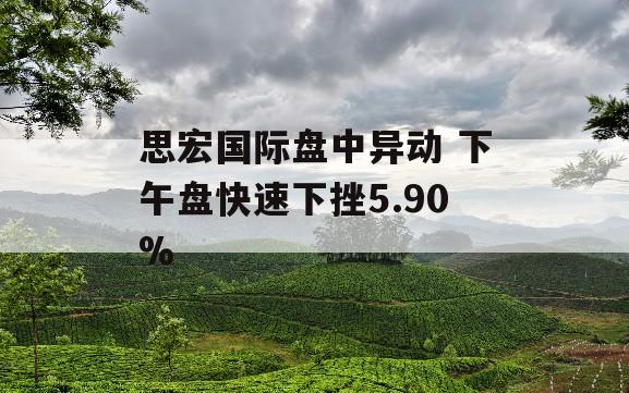 思宏国际盘中异动 下午盘快速下挫5.90%