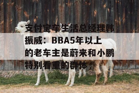 支付宝车生活总经理韩振威：BBA5年以上的老车主是蔚来和小鹏特别看重的群体